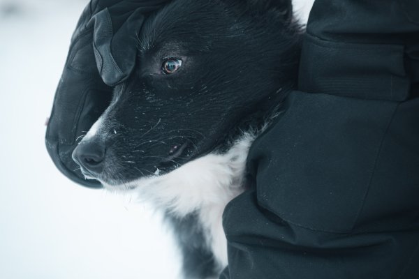 Complicité silencieuse