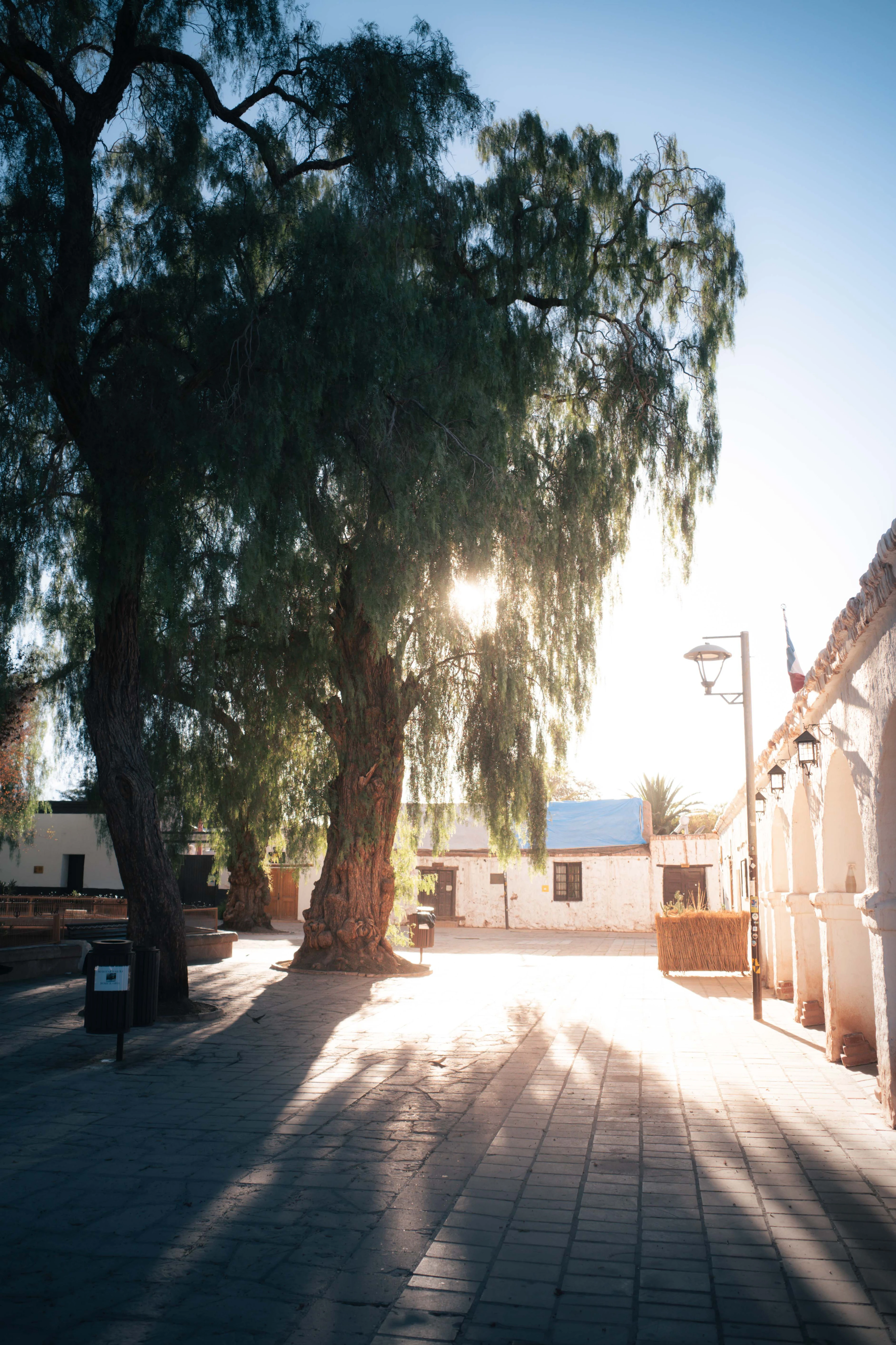 Atacama — photographie 7