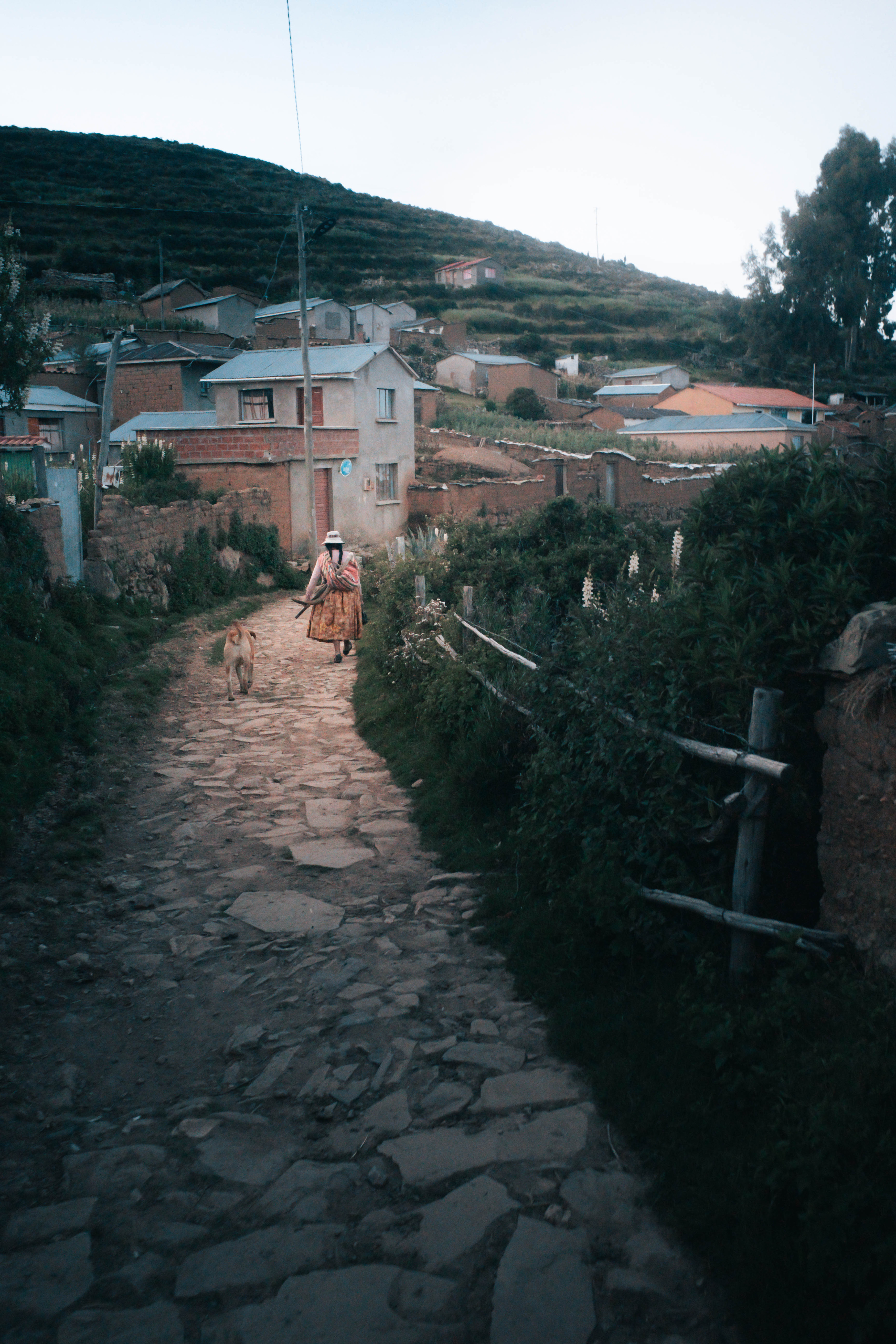 Le chemin du soir