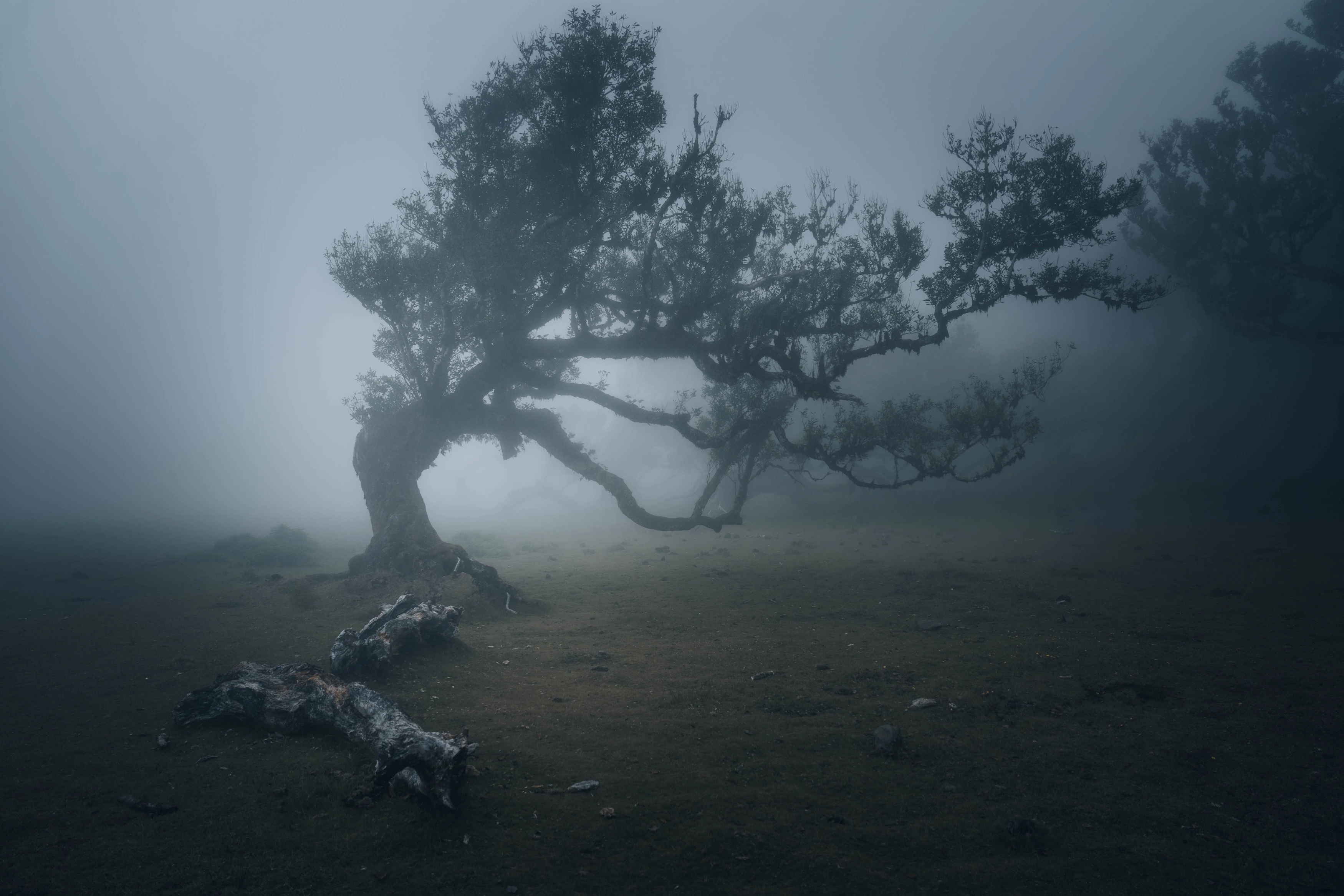 Madère — photographie 11